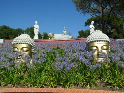 the-buddha-eden-garden_1